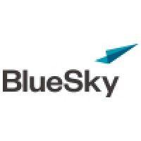 bluesky professional services group, llc logo image