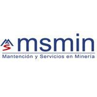 msmin ltda. logo image