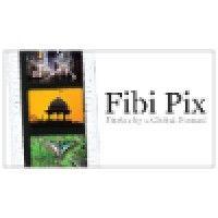 fibi pix logo image