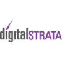 digital strata logo image