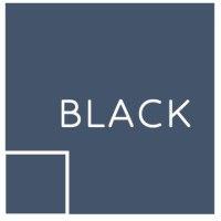 black investment holdings ltd logo image