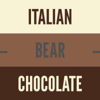 italian bear chocolate logo image