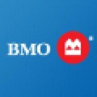 bmo learning institute logo image