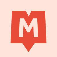 metter media llc logo image