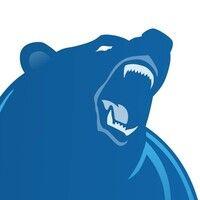 big bear software inc. logo image