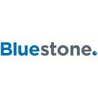 bluestone group logo image