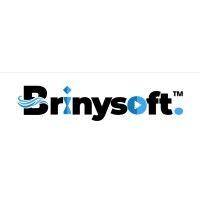 brinysoft animation studio inc logo image