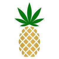 pineapple, inc.