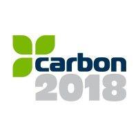 carbon 2018 limited logo image