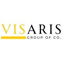 visaris group logo image