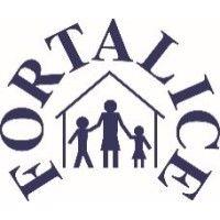 fortalice ltd logo image