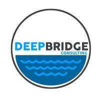 deepbridge consulting logo image