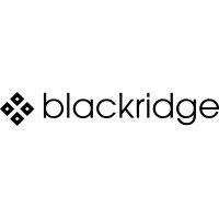 blackridge - government relations logo image