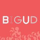 logo of Bigud Social