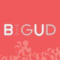 bigud social logo image