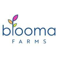 blooma farms logo image