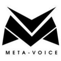 meta voice llc logo image