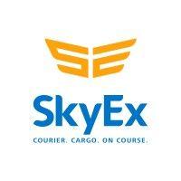 sky express international logo image