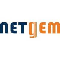 netgem logo image