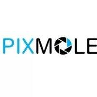 pixmole logo image