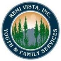 remi vista inc. logo image