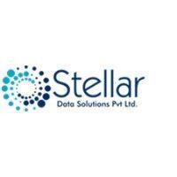 stellar data solutions pvt ltd logo image