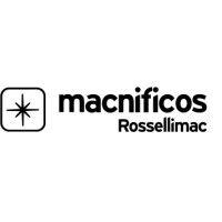 macnificos logo image