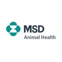 msd animal health nases