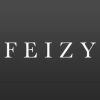 feizy rugs logo image