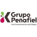 logo of Grupo Penafiel