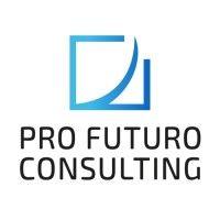 pro futuro consulting a.s. logo image