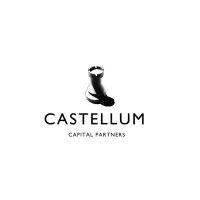 castellum capital investments ltd logo image