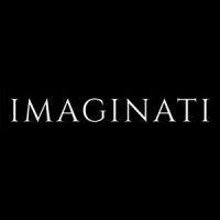 the imaginati studios ltd logo image