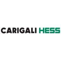 carigali hess operating company sdn bhd logo image