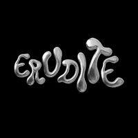 erudite logo image