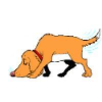 nosey dogs logo image