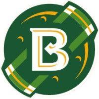 belhaven university logo image