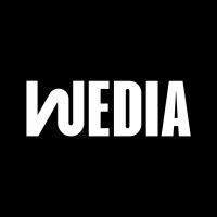 wedia group logo image