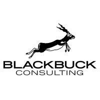 blackbuck consulting logo image