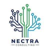 nectra consulting logo image