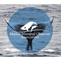 marine mammal observer association logo image