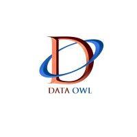 dataowl - edtech platform for data & analytics logo image