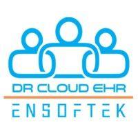 ensoftek logo image