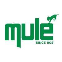 mule lighting, inc. logo image