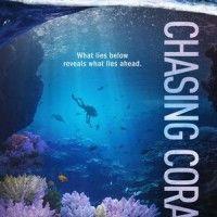 chasing coral