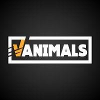 vanimals games logo image