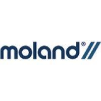 moland a/s logo image