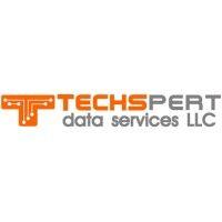 techspert data services, llc