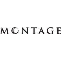 montage logo image