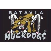 batavia muckdogs logo image